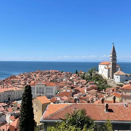 Apartman Punta *